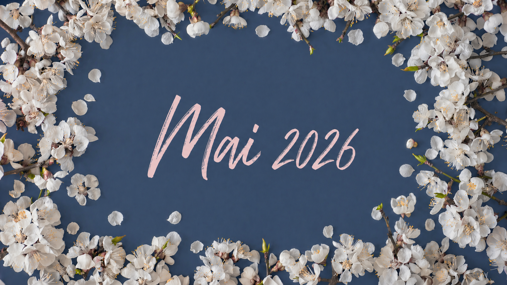 mai2026 mai 2026 entouré de fleurs blanches sur un fond bleu